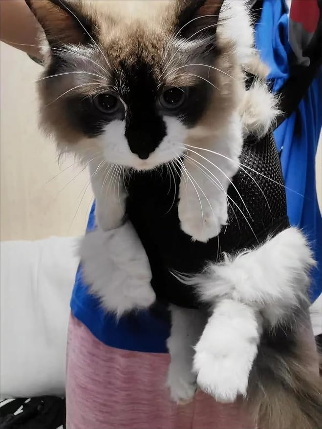 Pet Carrier Backpack - Image 3