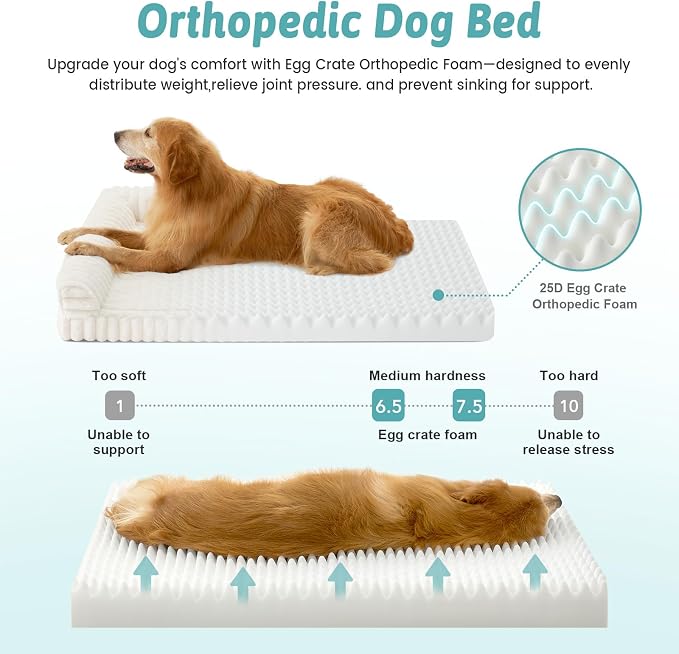 Cute Dog Bed for Medium Dogs, Faux Rabbit Fur Orthopedic Foam Dog Bed - Image 3