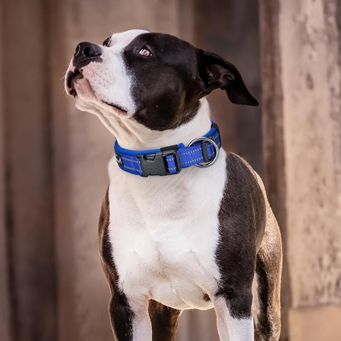 EXCELLENT ELITE SPANKER Reflective Dog Collar Classic Soft Padded Breathable - Image 9