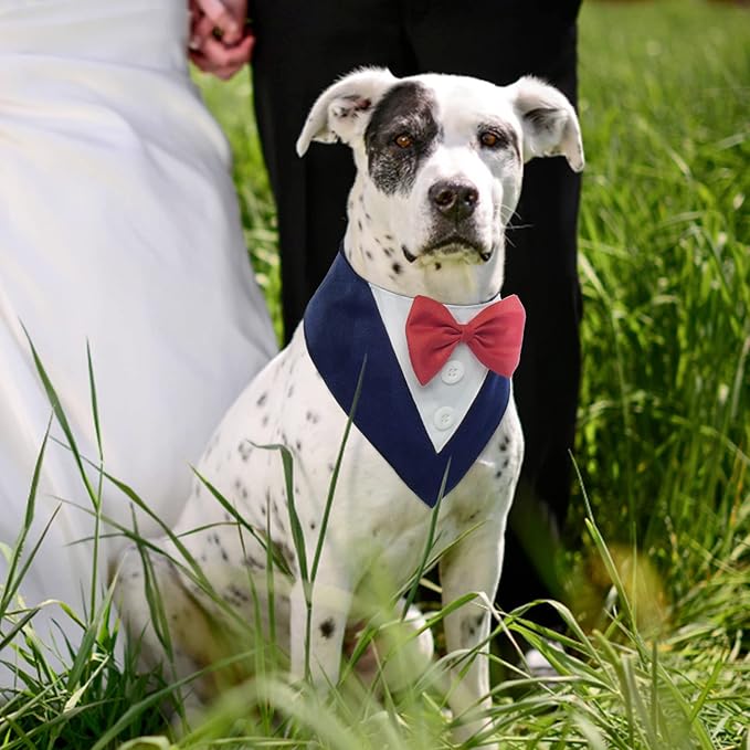 FUAMEY Dog Tuxedo for Small Dogs, Dog Formal Suit Dogs Attire Pet Bow Tie Puppy - Image 2