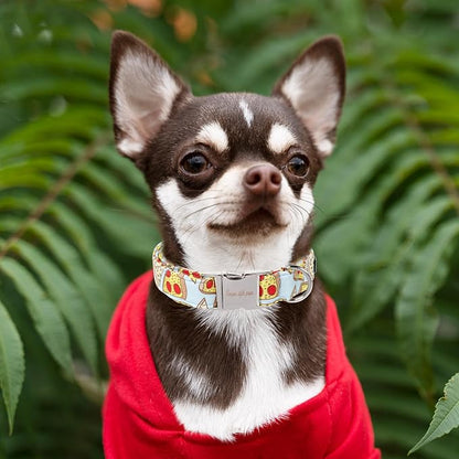 Unique style paws Dog Collar Metal Buckle Pizza Collar Gift Durable Cute Collar - Image 4