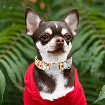 Unique style paws Dog Collar Metal Buckle Collar Gift - Image 4