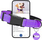 Reflective Dog Collar for Small Dogs by Pawduct