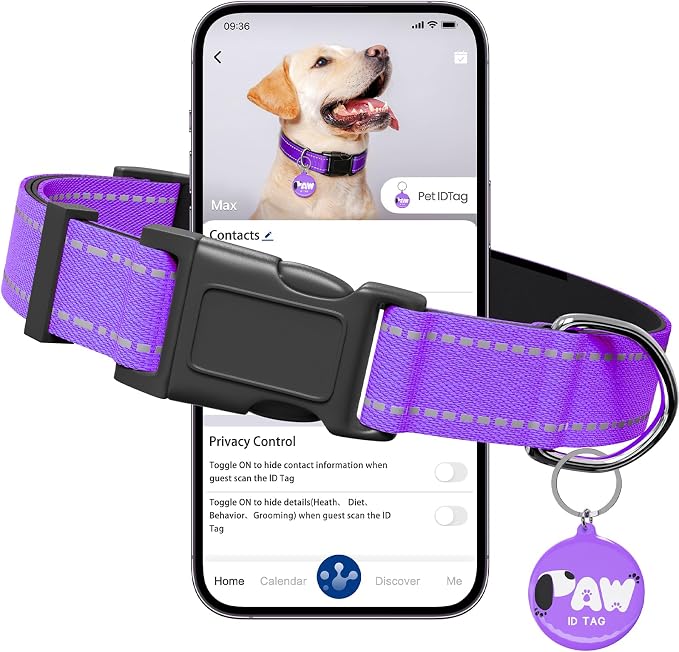 Reflective Dog Collar for Large Dogs by Pawduct