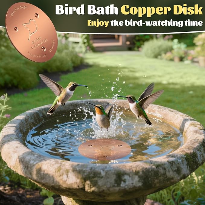 NNG 3 Pack Bird Bath Copper Disk, 1mm Thick Reinforced 99.9% Pure Copper Bird - Image 6