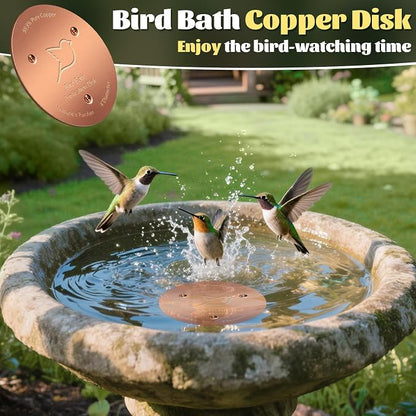 NNG 3 Pack Bird Bath Copper Disk, 1mm Thick Reinforced 99.9% Pure Copper Bird - Image 6