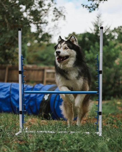 Better Sporting Dogs Premium Starter Dog Agility Set w/Safety-Focused Features - Image 7