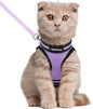 rabbitgoo Cat Harness and Leash Set by rabbitgoo