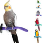 Sweet Feet and Beak Safety Pumice Perch by Sweet+Feet+%26+Beak