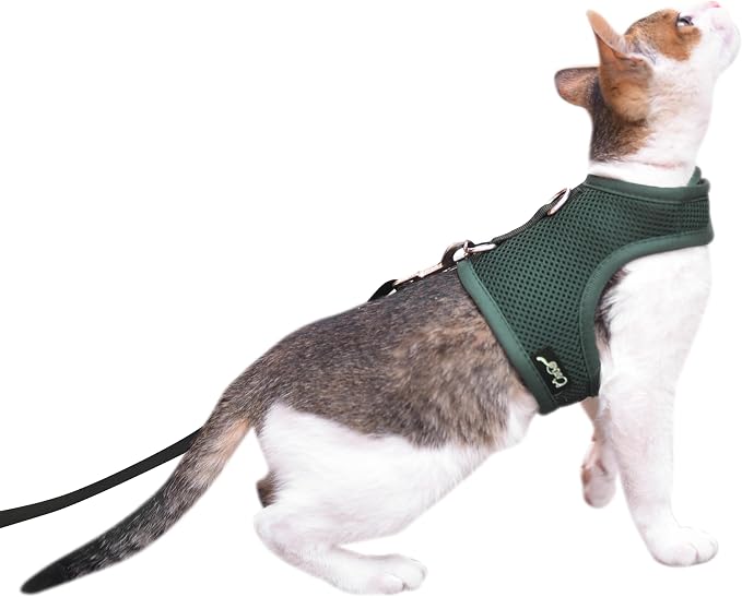 Kitty Harness and Leash for Walking Escape Proof Breathable Mesh Fabric by Yizhi+Miaow