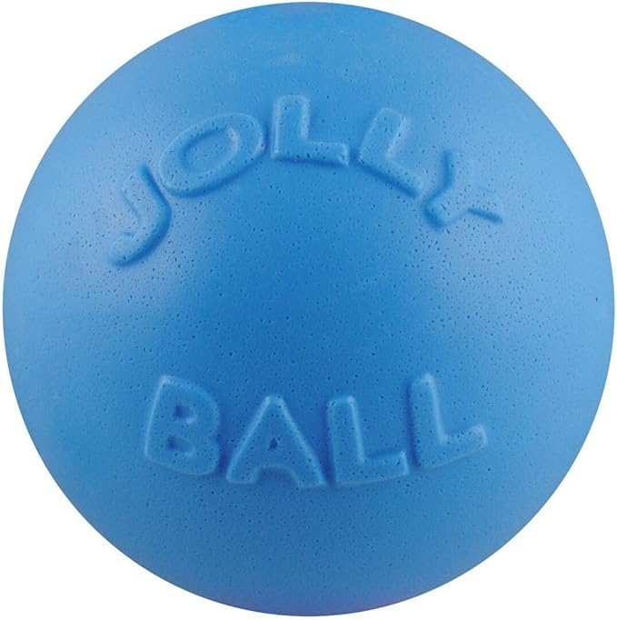 Jolly Pets Bounce-n-Play Dog Toy Ball, 8 Inches/Large by JollyPets