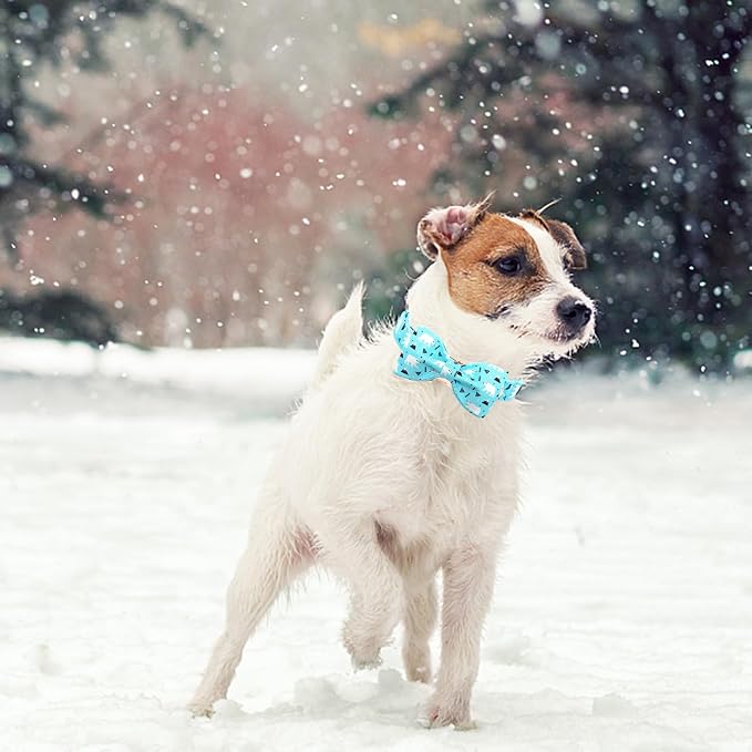 Dog Collar-Bow Dog Collar Blue Bear Pattern Pet Collar Dog Cute Bow Tie Soft - Image 5