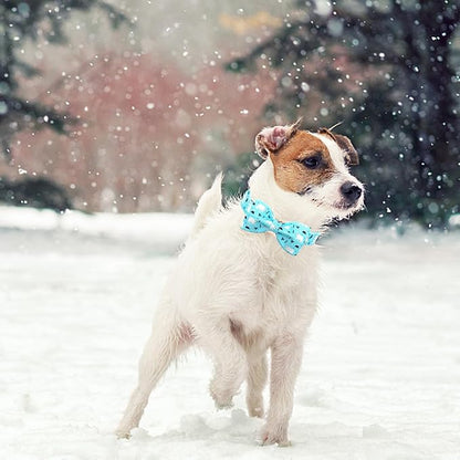 Dog Collar, Bow Dog Collar Blue Bear Pattern Pet Collar Dog Cute Bow Tie Soft - Image 5