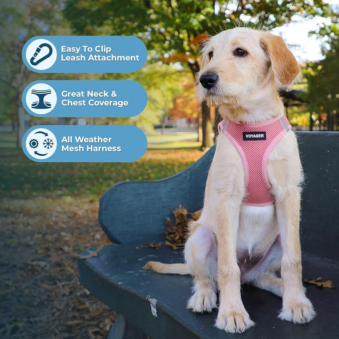 Best Pet Supplies Voyager Step-in Air All Weather Mesh Harness and Reflective - Image 6