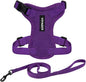 Voyager Escape-Proof Step-in Lock Cat Harness & 5ft Neoprene-Handle Leash Set by BestPetSuppliesLLC