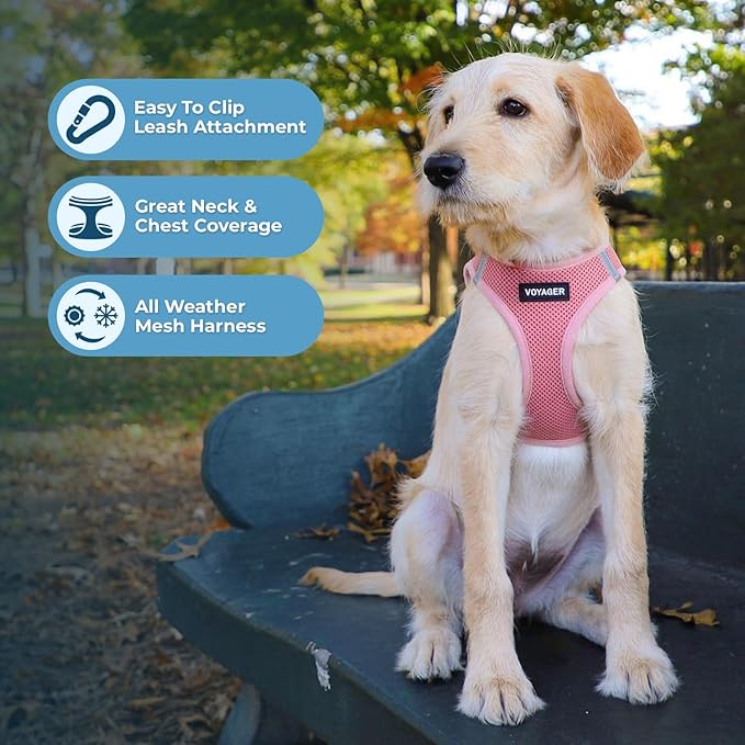 Best Pet Supplies Voyager Step-in Air Harness - Image 5