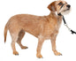 PetSafe Gentle Leader Headcollar No-Pull Dog Collar by PetSafe