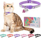 Rhinestone Cat Collar Breakaway by DILLYBUD