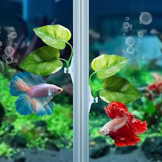 CousDUoBe 1 Pack Betta Fish Leaf Pad Improves Betta's Health by Simulating The - Image 5
