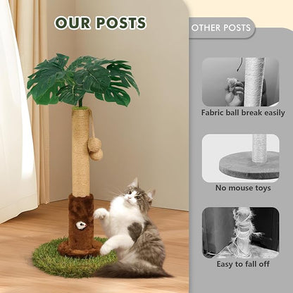 Cat Scratching Post for Indoor Cats and Kitten - Image 5