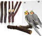 BNOSDM 5PCS Bird Mirror with Perches Stand Parrot Natural Wood Stick Perches by BNOSDM