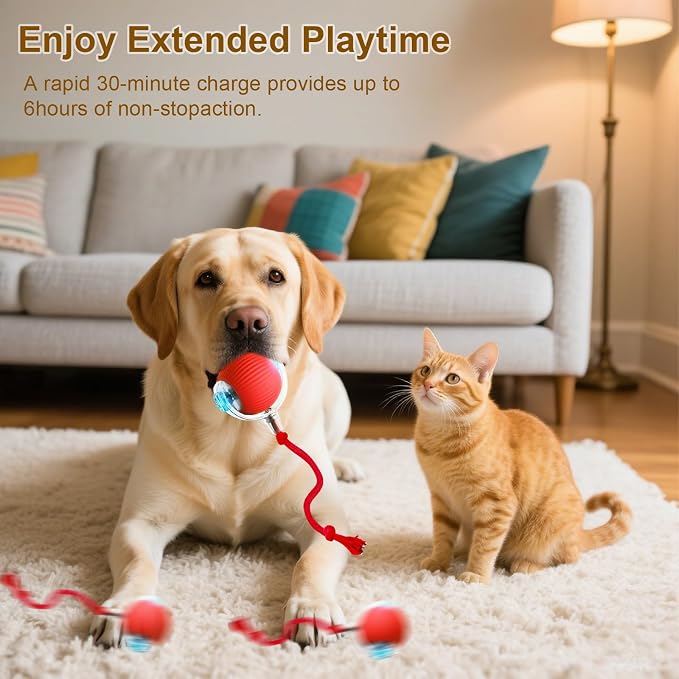 Interactive Cat Toy, 2025 New Interactive Rolling CatsToy Balls 360° Smart - Image 8
