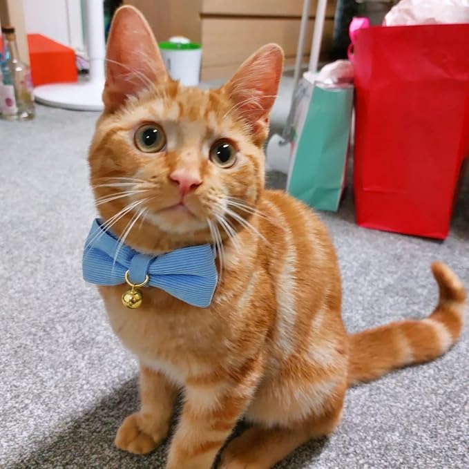 Soft Corduroy Cat Collar with Bell and Bowtie, Safety Breakaway Clasp, - Image 6