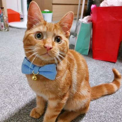 Soft Corduroy Cat Collar with Bell and Bowtie, Safety Breakaway Clasp, - Image 6