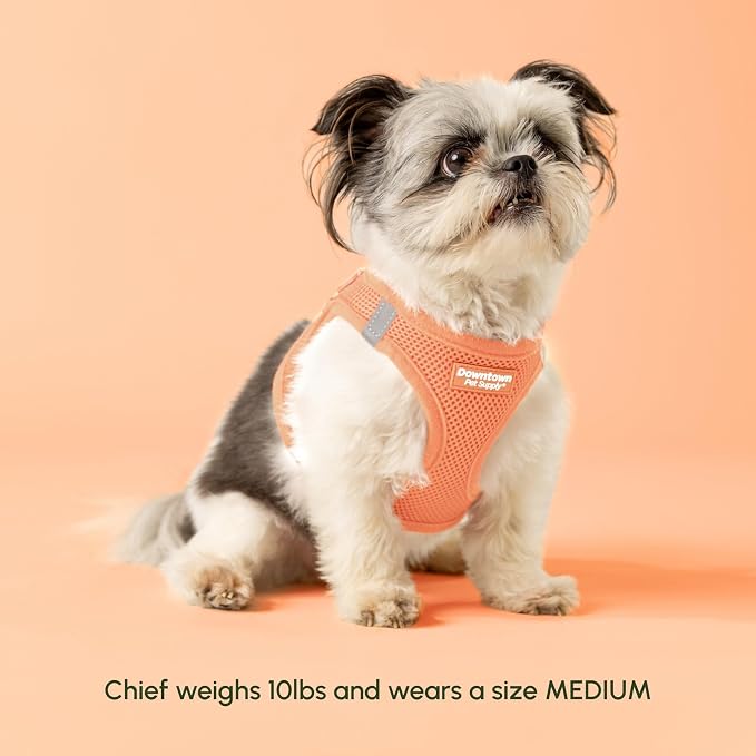 Downtown Pet Supply Step in Dog Harness - Image 4