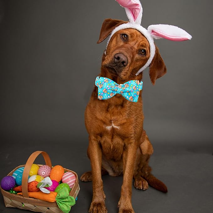 Lionheart glory Dog Bow Collar Easter Day Dog Collar - Image 5