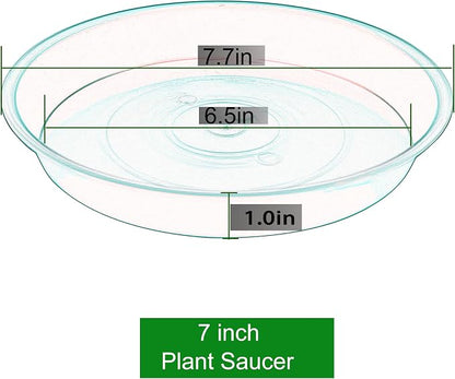 6 Pack of 7 inch Plant Saucer, Heavy Duty Plastic Plant Water Tray 7 inch Round - Image 2