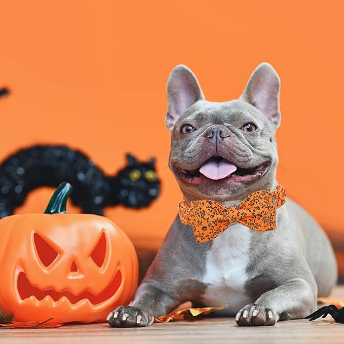 Halloween Dog Collar, Pet Collar Dog Bow Pumpkin Dog Collar Girl Boy Holiday - Image 6
