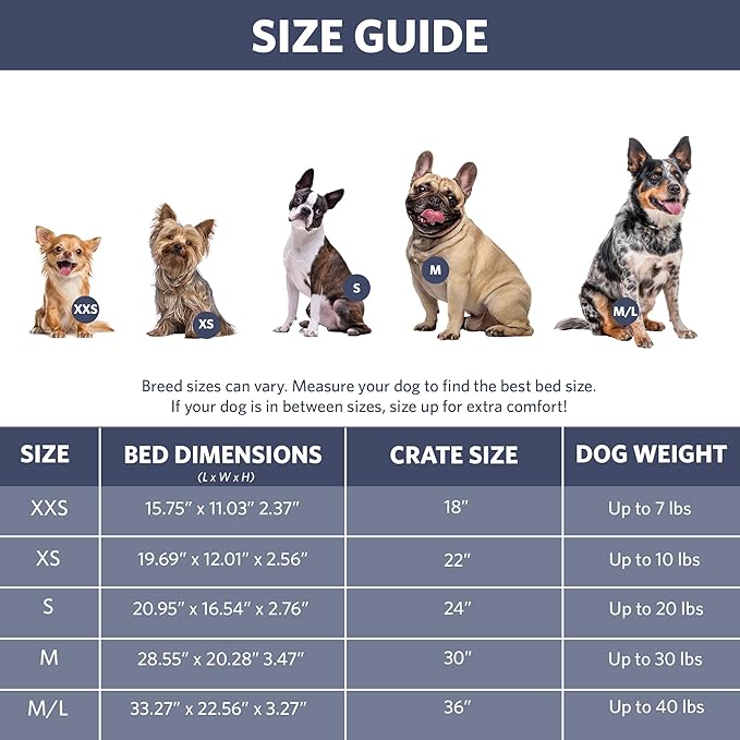 MidWest Homes for Pets QuietTime Fashion XXS Dog Bed – Blue Faux Fur Bolster - Image 7