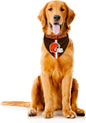 Littlearth NFL Denver Broncos Pet Bandana by Littlearth