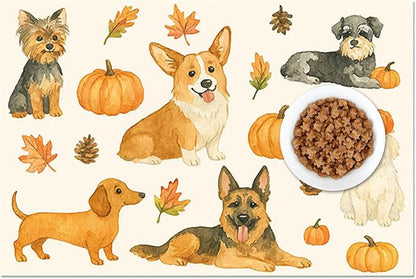 Fall Dog Pet Feeding Mat Autumn Pumpkin Design Food Mat - Image 8
