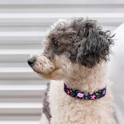 QQPETS Adjustable Soft Dog Collar: Print Flower Pink Multicolor Cute Patterns - Image 2