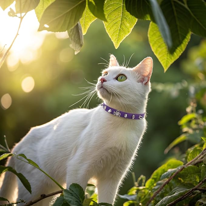 EXPAWLORER Leather Cat Collar for Girl Boy- Adjustable Pet Collar - Image 6