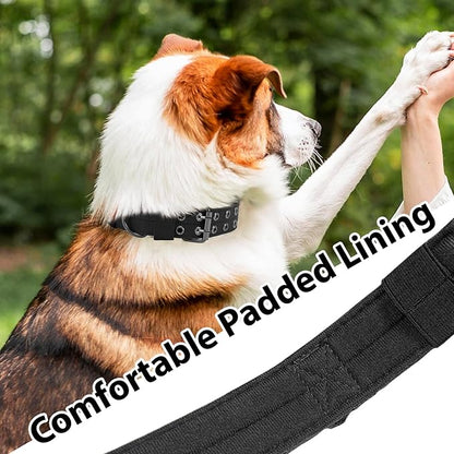 Tactical Dog Collar Military Adjustable Dog Collars Soft Nylon Training Collar - Image 5