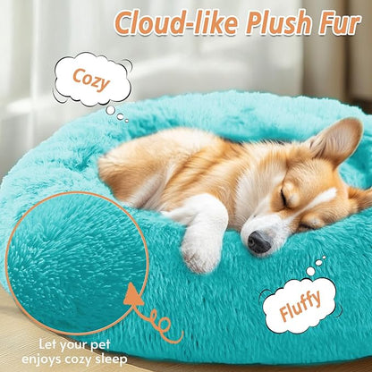 JOLLYVOGUE Calming Dog Bed for Small Dogs - Image 2
