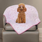 Stuffed Premium Soft Dog Blanket, by STUFFED
