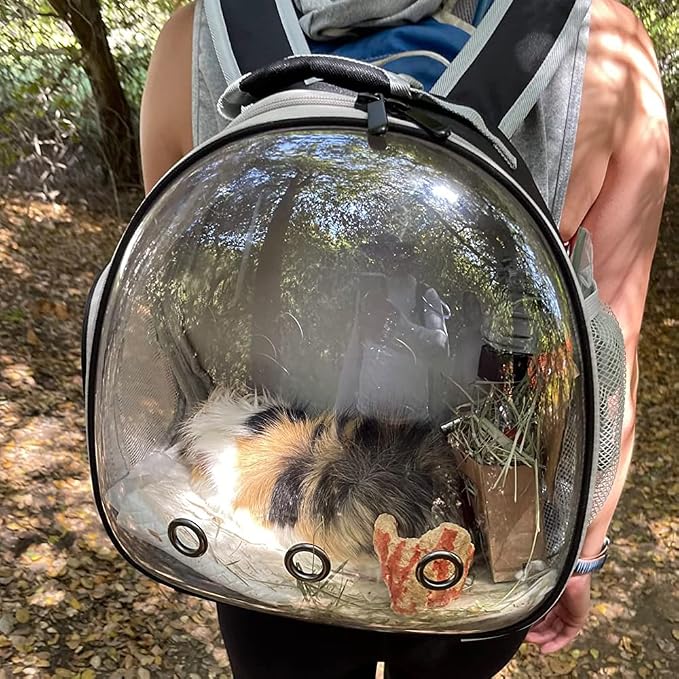 Guinea Pig Backpack Carrier, Reptile Outdoor Used, Bearded Dragon Carrier - Image 5