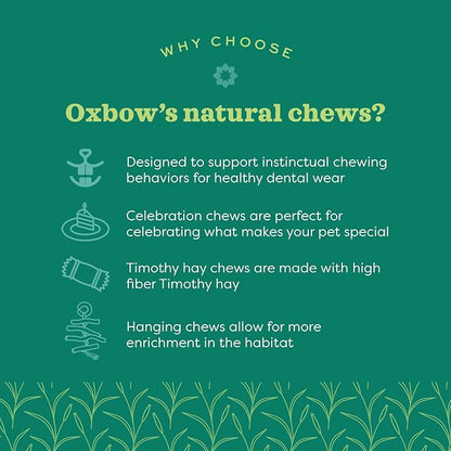 Oxbow Enriched Life Natural Dangly Party Pack, Rabbit Toys, Guinea Pig Toys - Image 4
