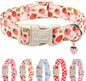 Strawberry Dog Collar for Large Dogs by Babolepet