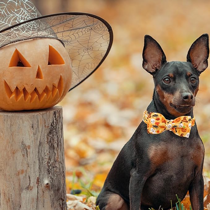 Halloween Dog Collar, Pet Collar Bow Fall Pet Collar Girl Boy Holiday Pet - Image 6