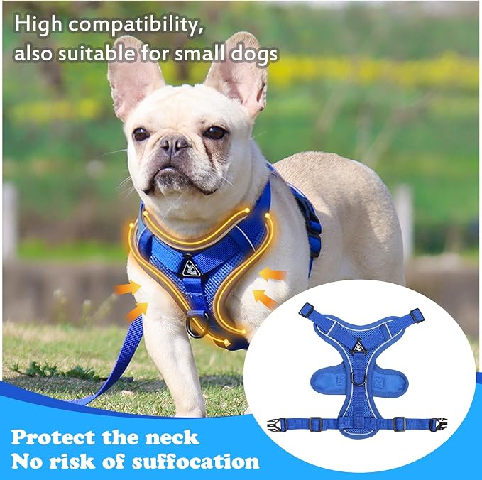 Large Cat Harness and Leash Set - Image 4
