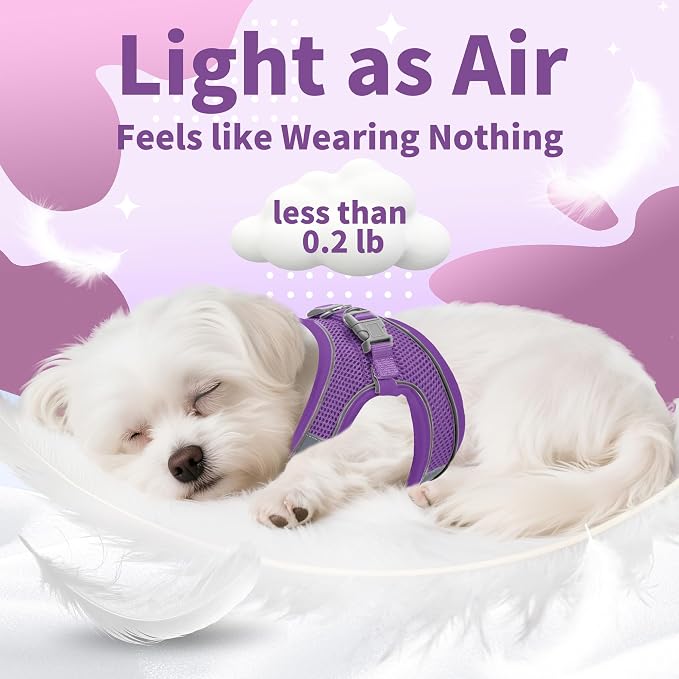 AIITLE Step in Dog Harness and Leash Set - Image 7
