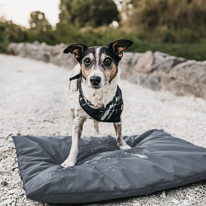 Dog Bed Cover for 44" L 32" W 4" H - Image 6