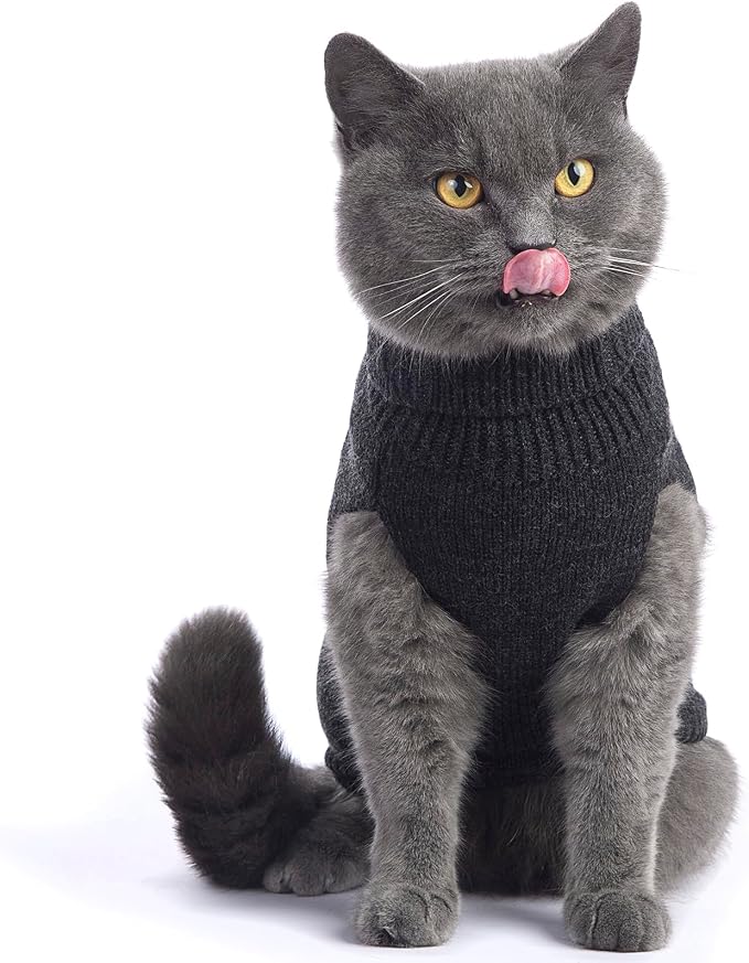 Stretchy Cat Sweater - Image 3