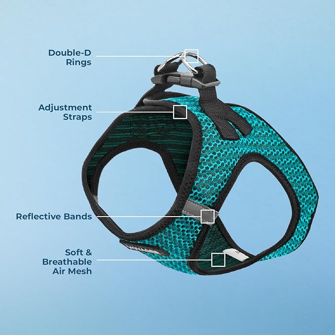 Best Pet Supplies - Image 4