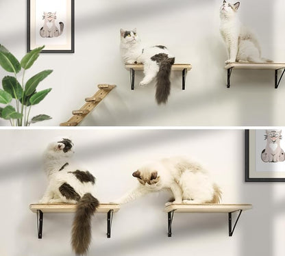 Cat Wall Shelves & Stairs - Image 2